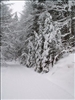 SWZ_Winter 2006 004